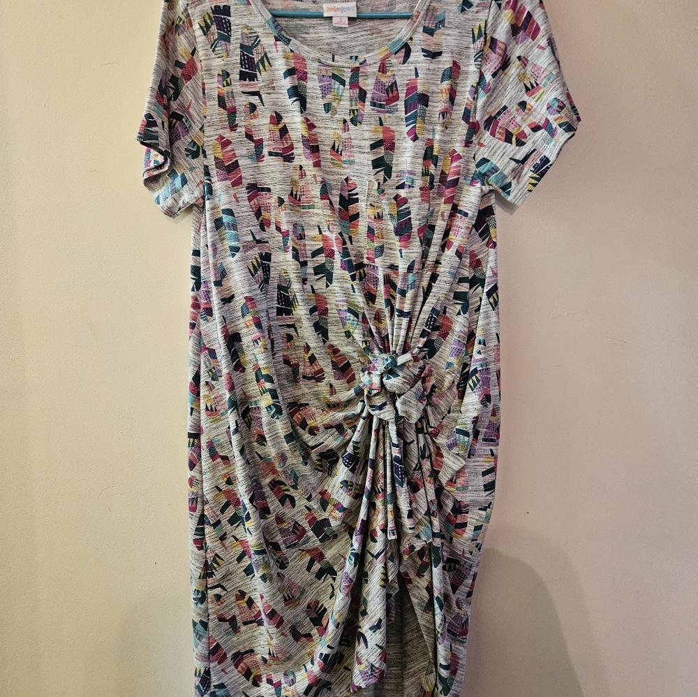 Lularoe Carly Swing Dress